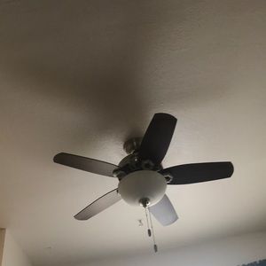 Meet your Posher, Arely